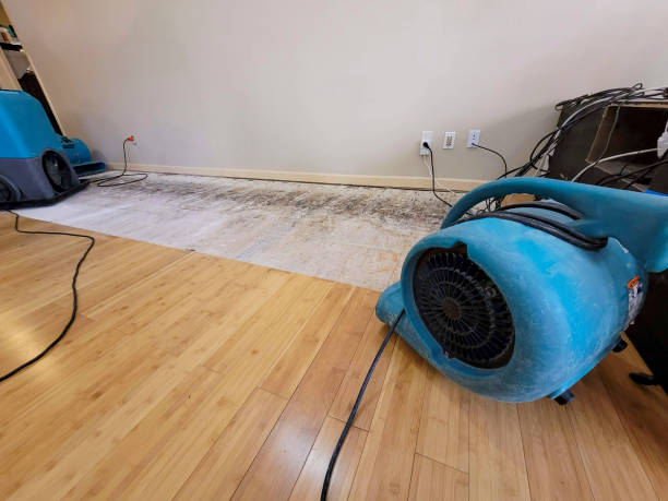 Professional Structural Drying technician working in Eminence, KY